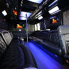 party bus fiber optic lights